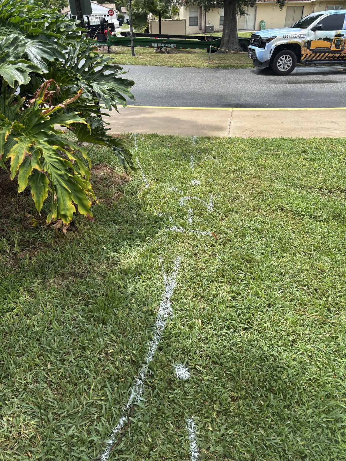 Lawn marked with white spray paint for underground utilities.
