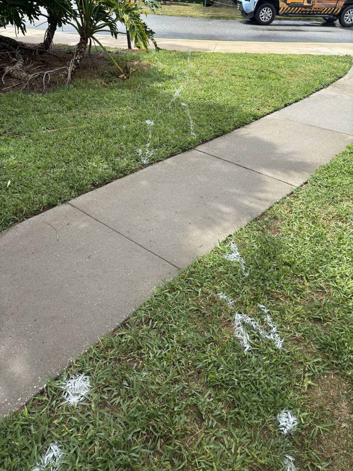 Water sprinkler system watering grass along sidewalk in front yard.