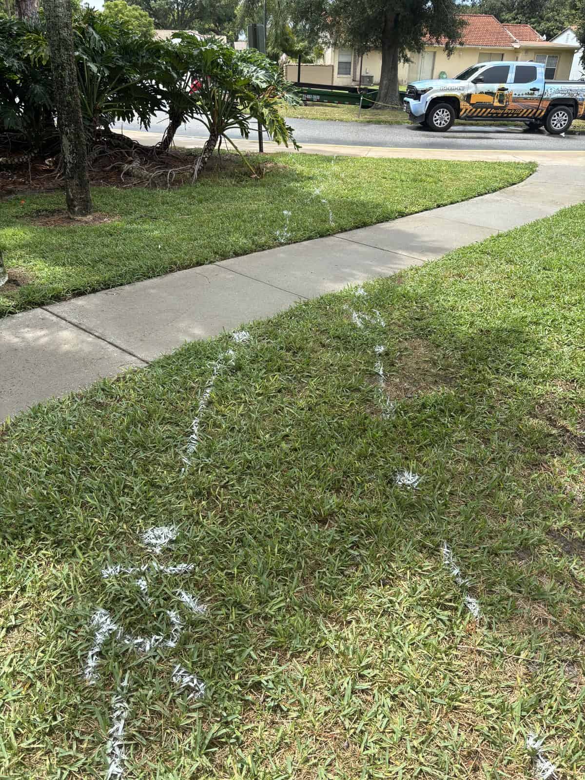 Spray paint markings on grass near sidewalk in residential area.