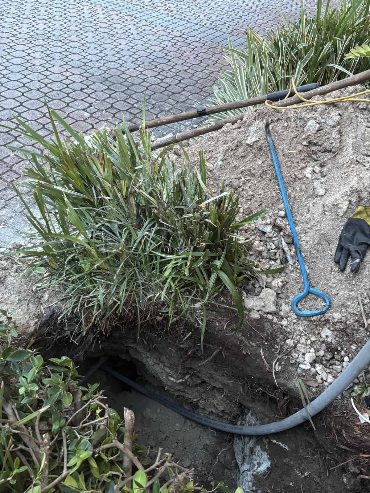 Excavation for garden drainage system with tools and plants nearby.