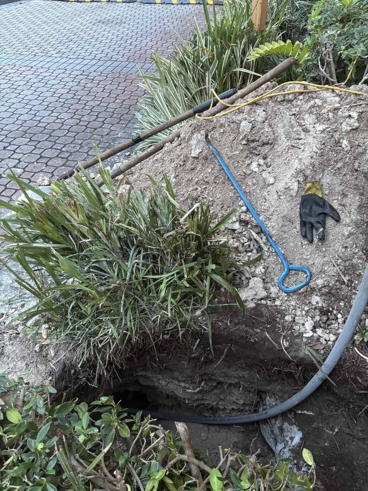 Garden excavation site with tools and plants in a landscaped area.