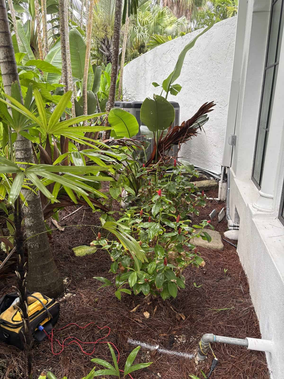 White conduit exposed along a mulch planting bed beside a stucco wall with locating equipment on the ground in Miami
