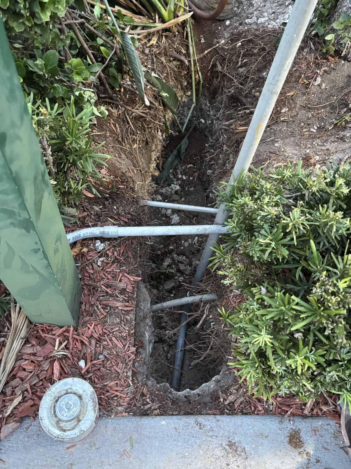 Underground utility trench with pipes and wiring surrounded by plants and mulch.