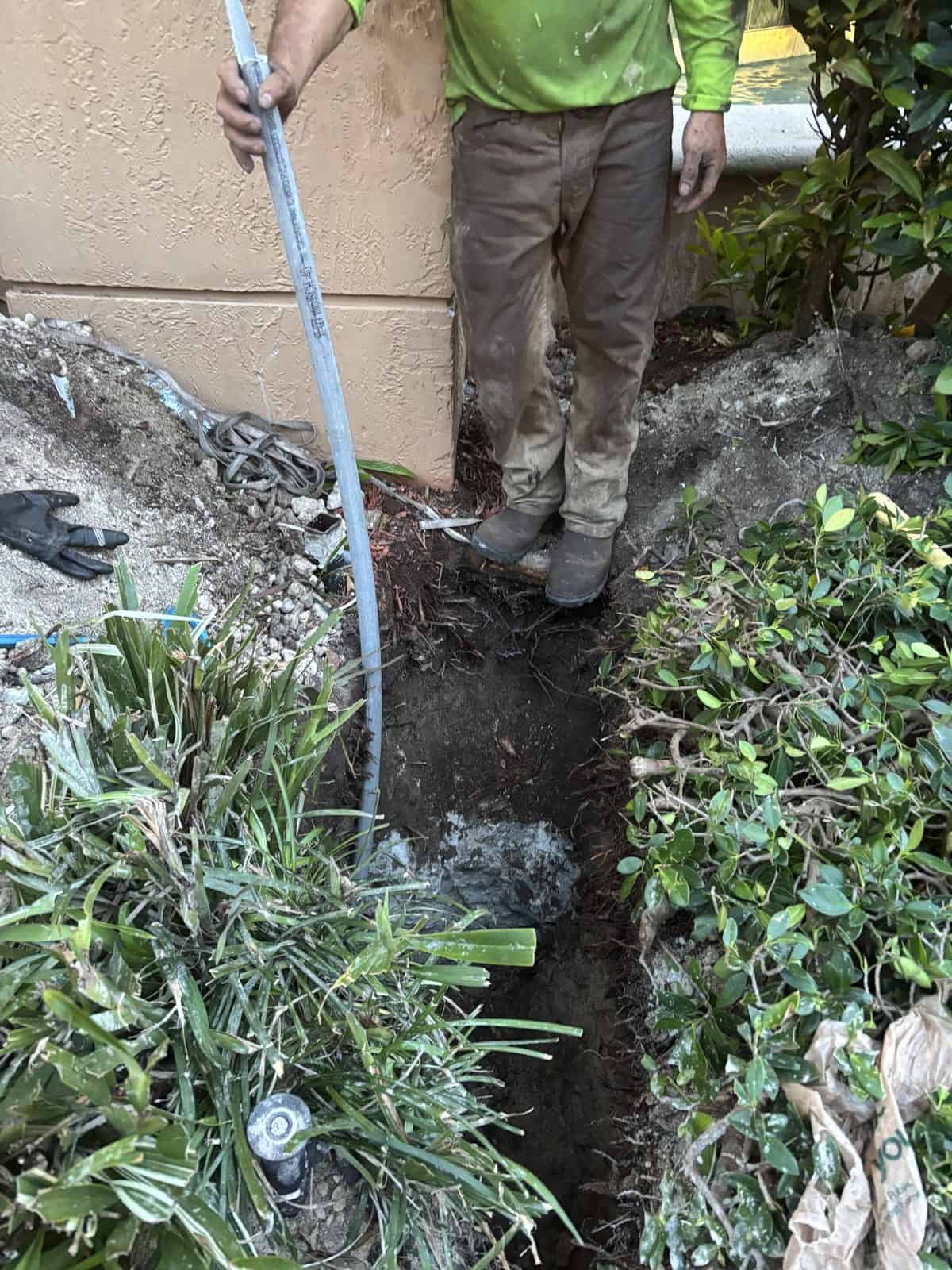 Worker digging a trench near a building with plants and bushes nearby.