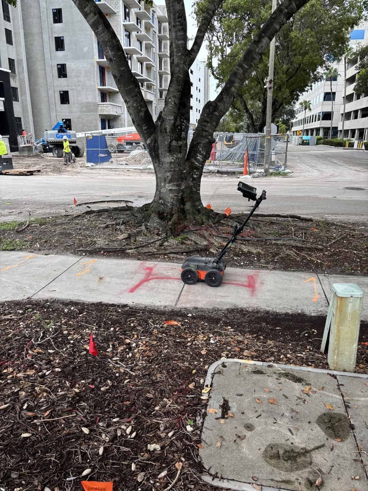 Red electric locate paint on a Fort Lauderdale sidewalk beside a ground penetrating radar cart and marker flags