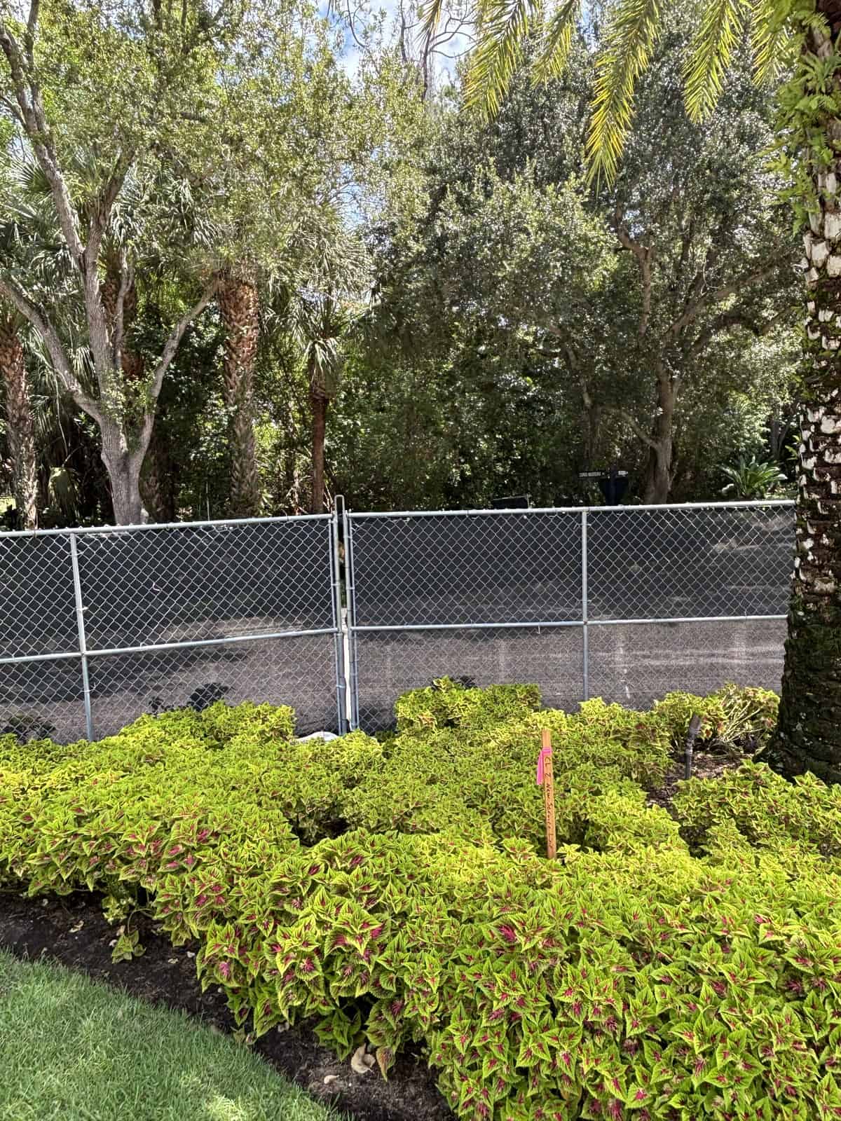 Marker flag set in a landscaped shrub bed alongside a chain link construction fence in Naples