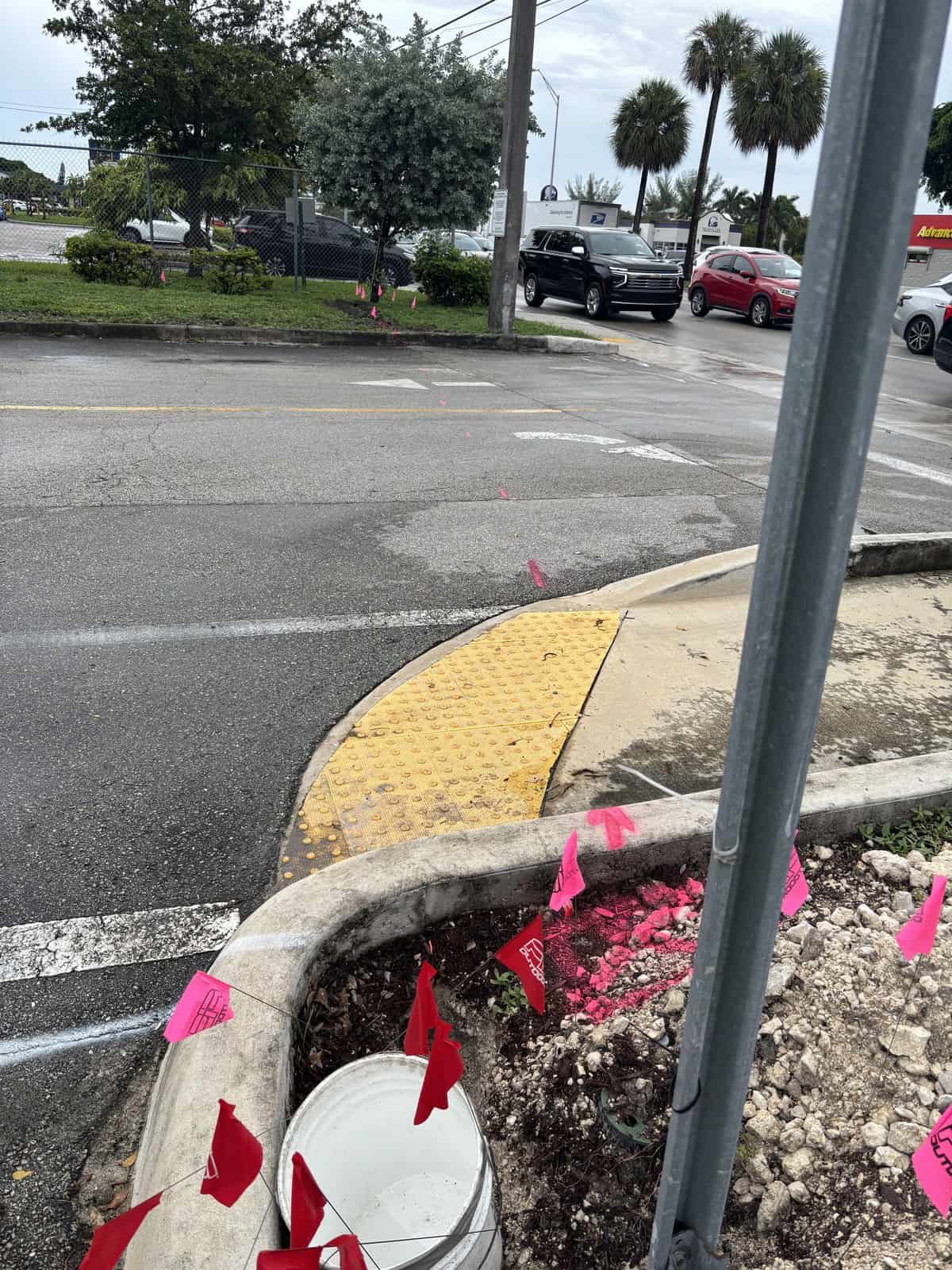 Pink and red marker flags clustered in a curb island beside a crosswalk ramp and light pole in Miami Lakes