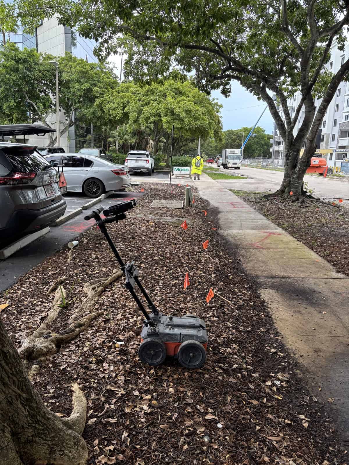 Ground penetrating radar cart on a mulch strip beside a Fort Lauderdale sidewalk with orange marker flags along it
