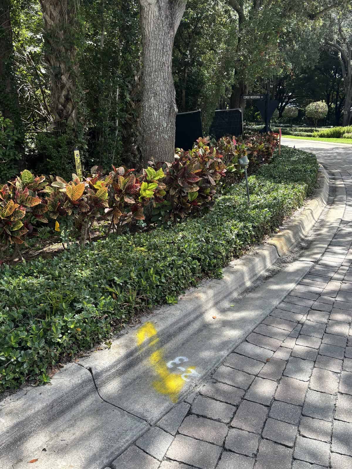 Yellow gas locate paint with a depth mark on concrete edging beside a paver walkway and planting bed in Naples