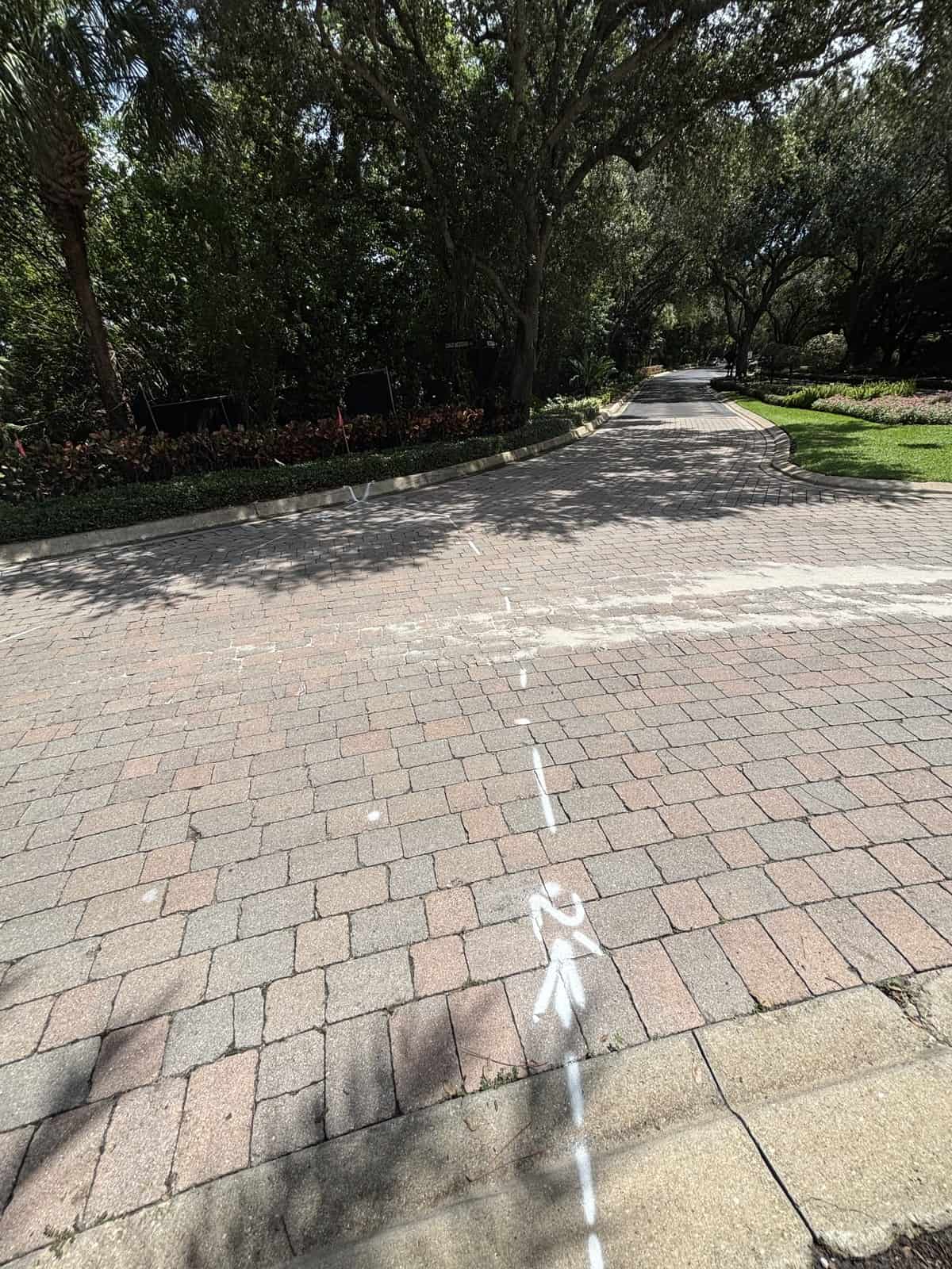 White locate line painted across a paver drive on a tree lined community entrance in Naples