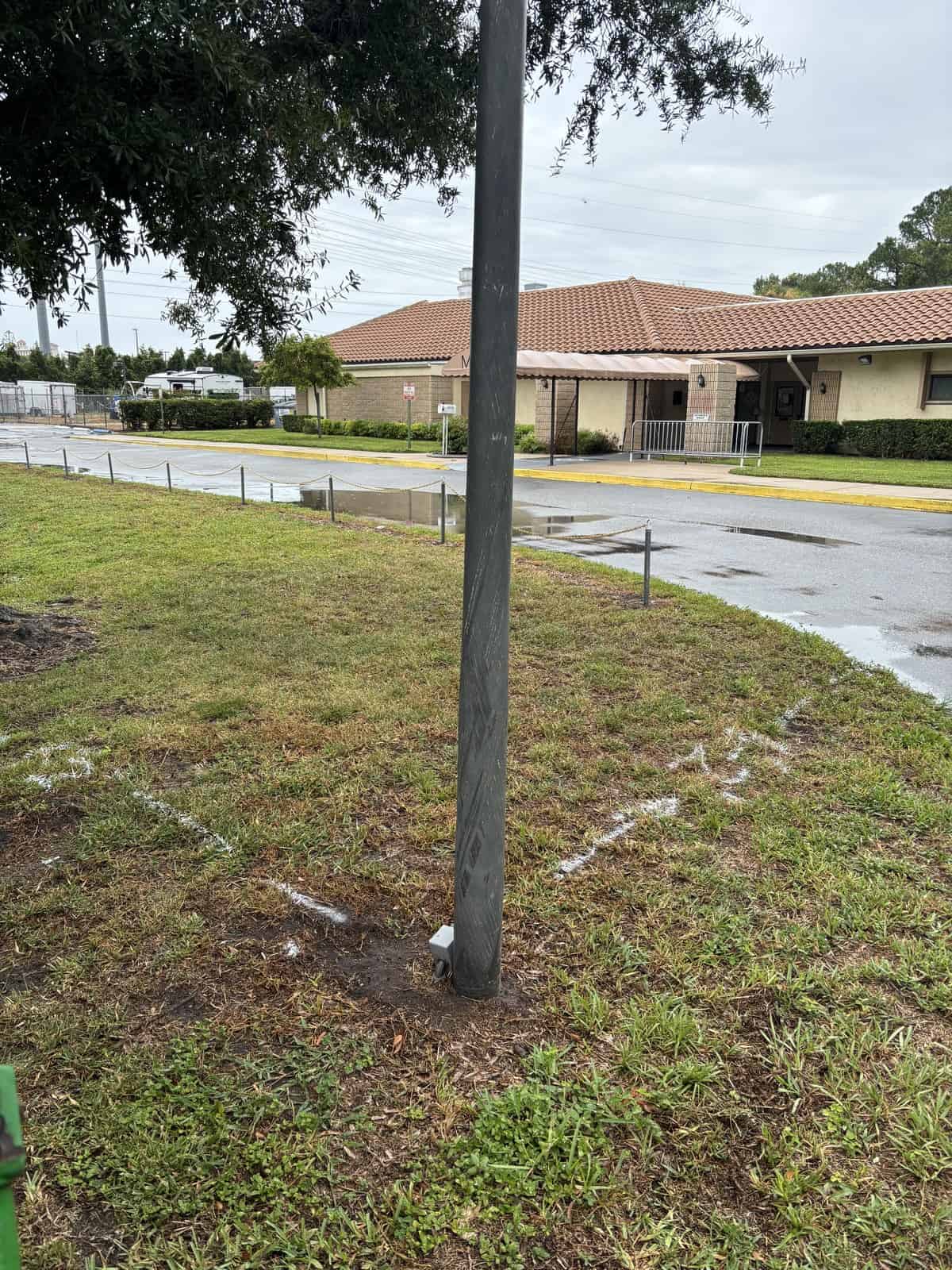 Tree support pole installed in a grassy area near a parking lot.