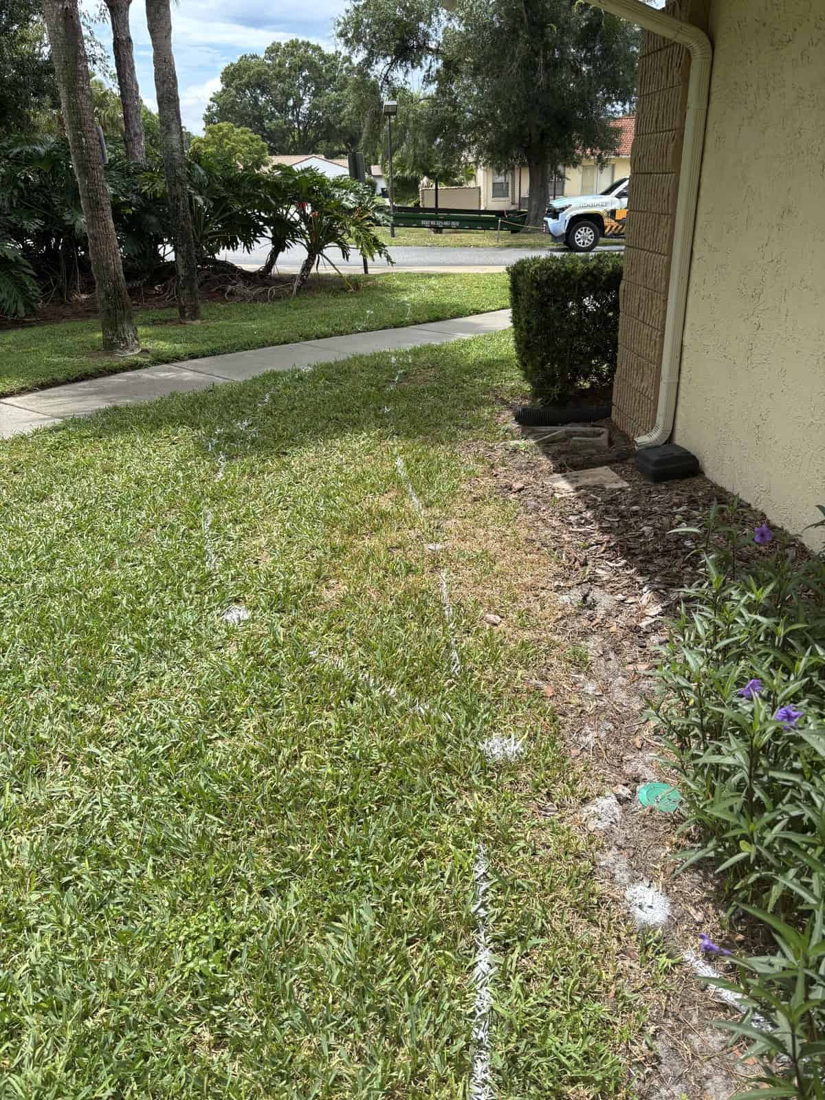 White paint marks running across a lawn beside a building, laying out the planned route
