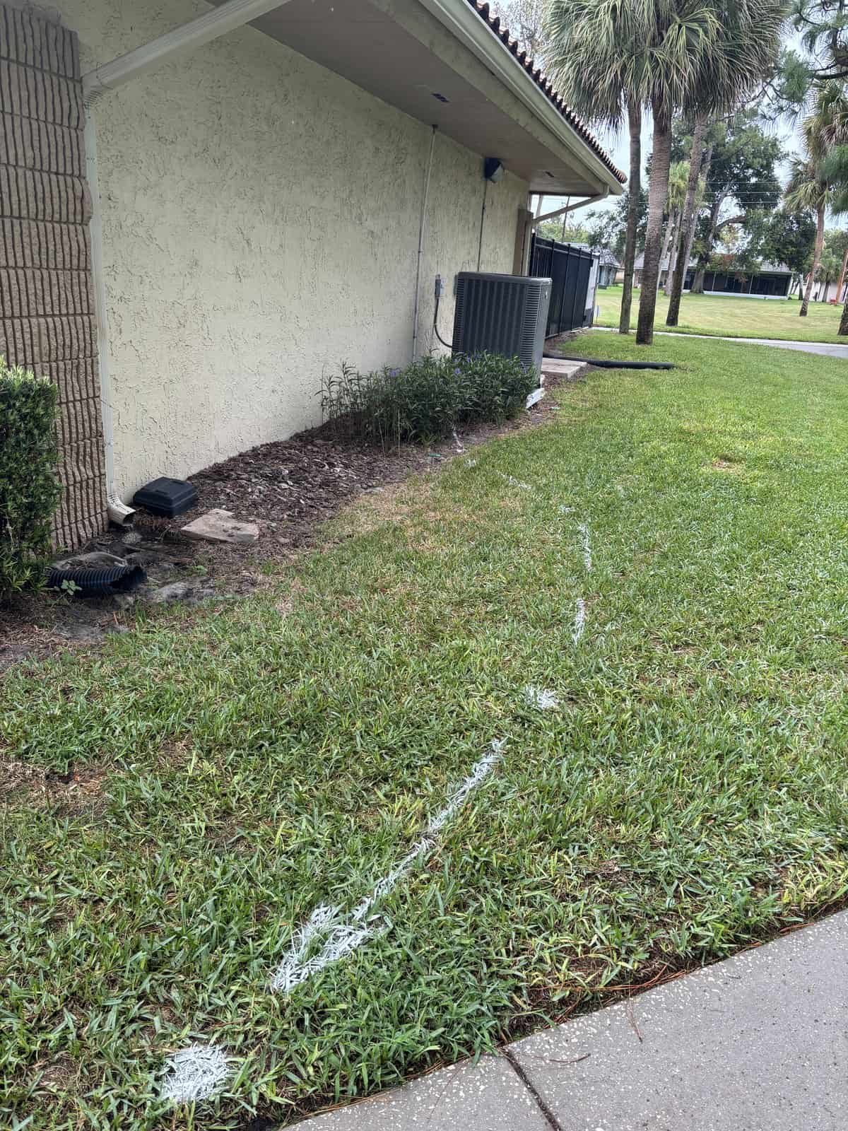 Lawn marking with white spray paint near building and trees.