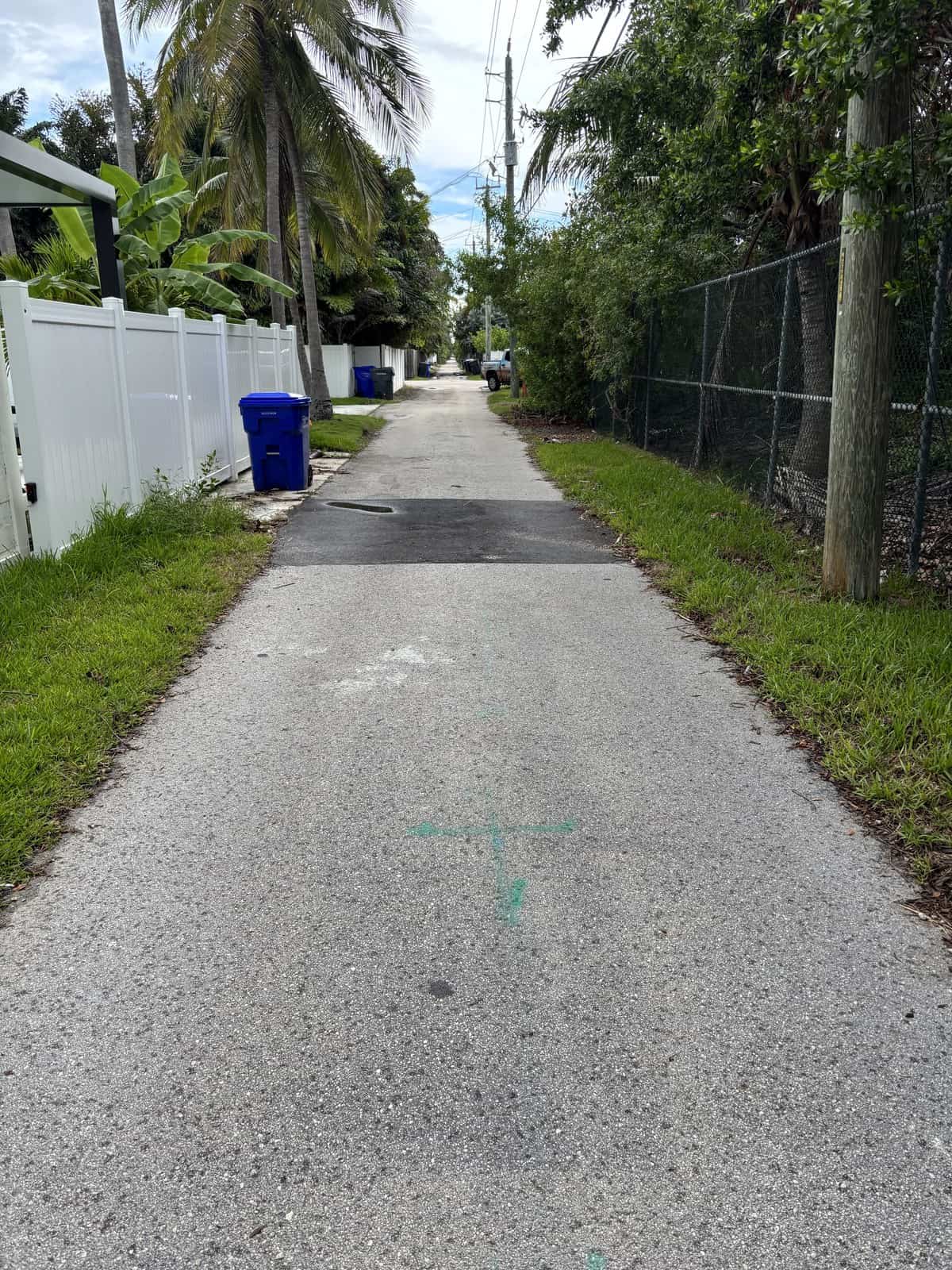 Serene alleyway with trees, fences, and trash bins in a residential area.