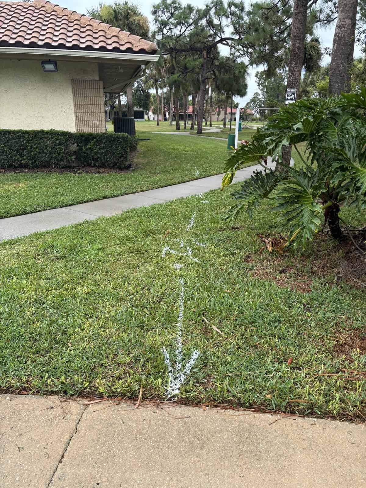 Water spray line on grass in a park with trees and a building in the background.